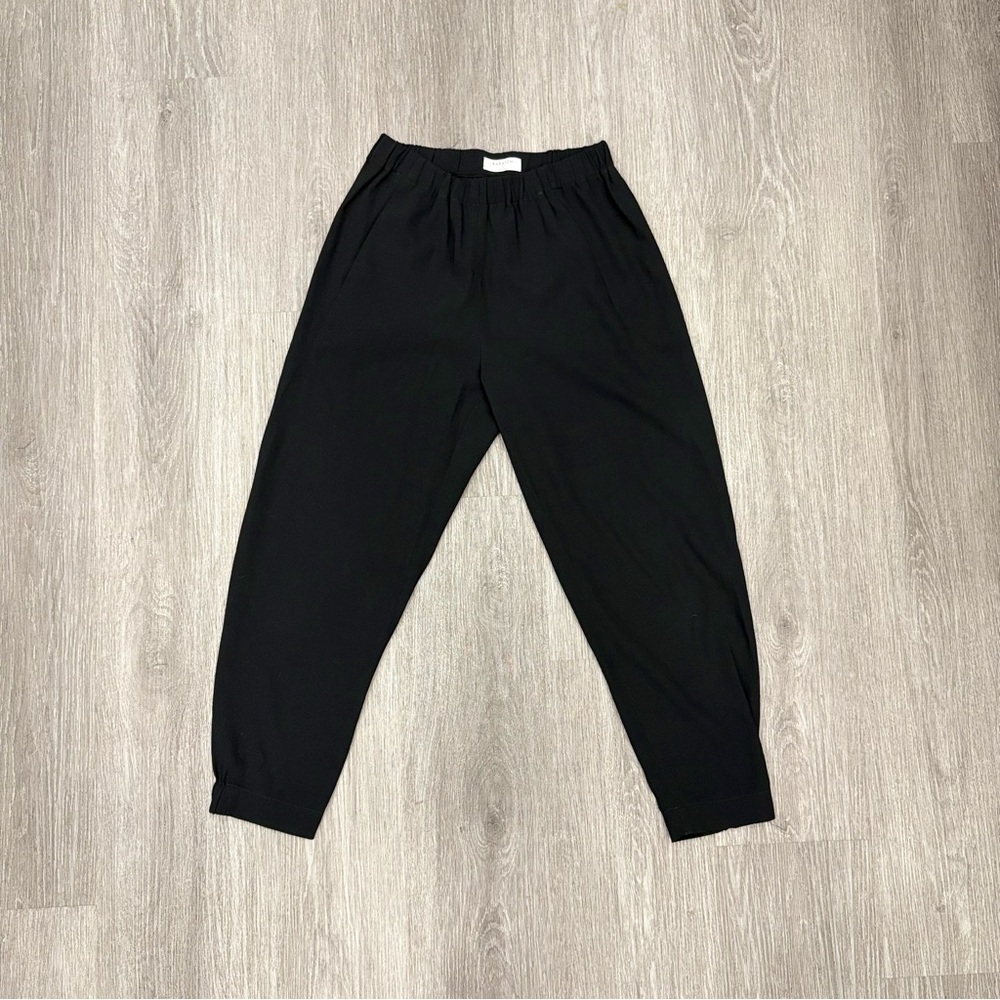 Aritzia Babaton Dexter Pants